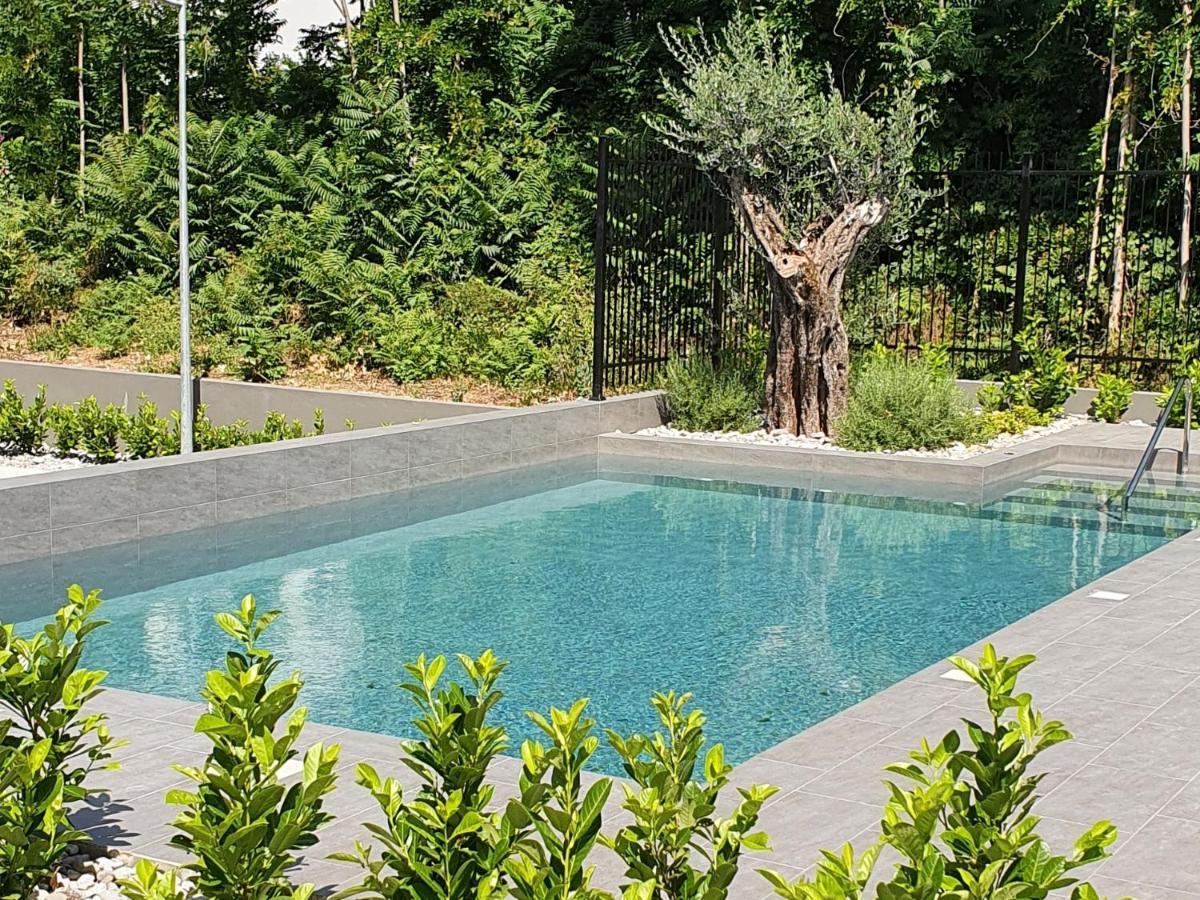 Bjelica Rental Apartments - Nela Apartment Tivat Exteriör bild